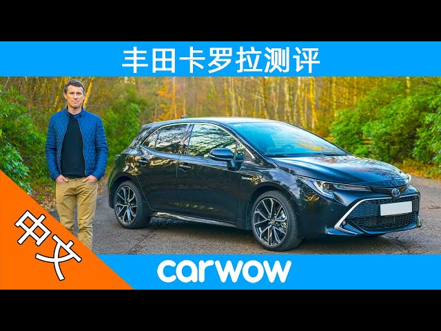 小马哥试驾全新丰田卡罗拉,比思域更帅气,还买什么大众高尔夫